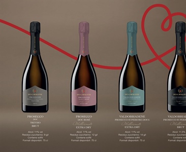 La nuova veste Dei Cavalieri